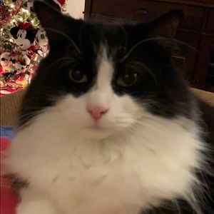 Meet your Posher, Lynn